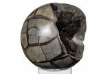 Polished, Septarian Geode Sphere - Madagascar #219104-1